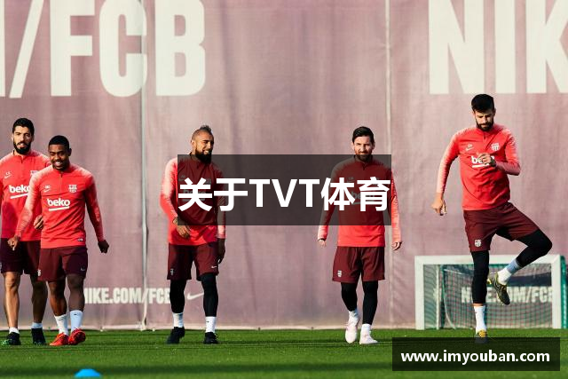 关于TVT体育